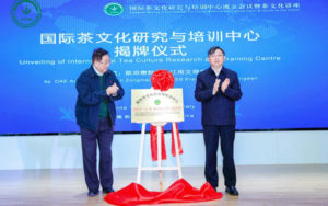 国際茶文化研究と教育センター、杭州に設立