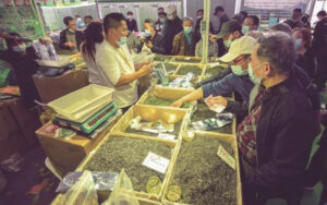 第10回武漢国際茶葉博覧会が開幕